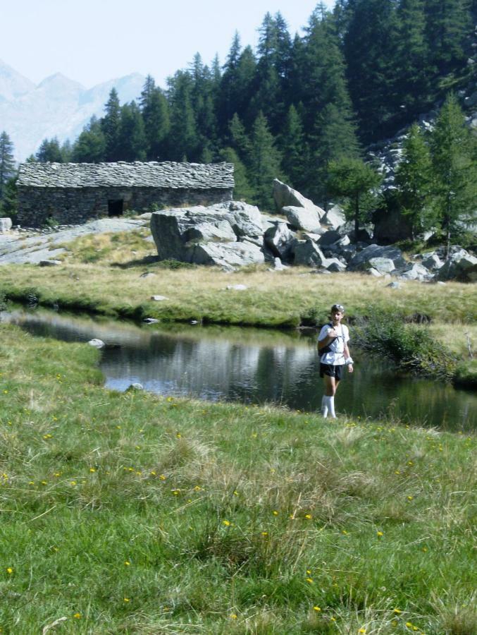Mansarda Plein Soleil Villa Donnaz Luaran gambar